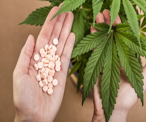 Cannabis plant and hand with pharmaceuticals.