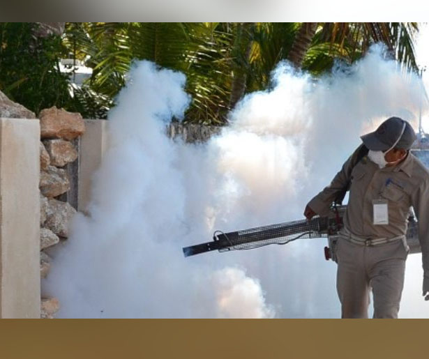 Inician combate contra plagas de mosquito en Quintana Roo