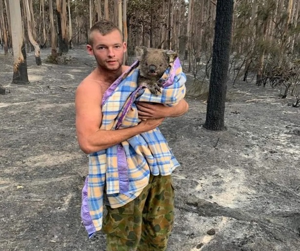Cazador deja las armas y ayuda a Koalas