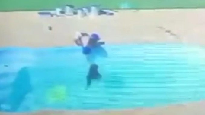 Video: Niño de 3 años salva a su amigo de morir ahogado en Brasil