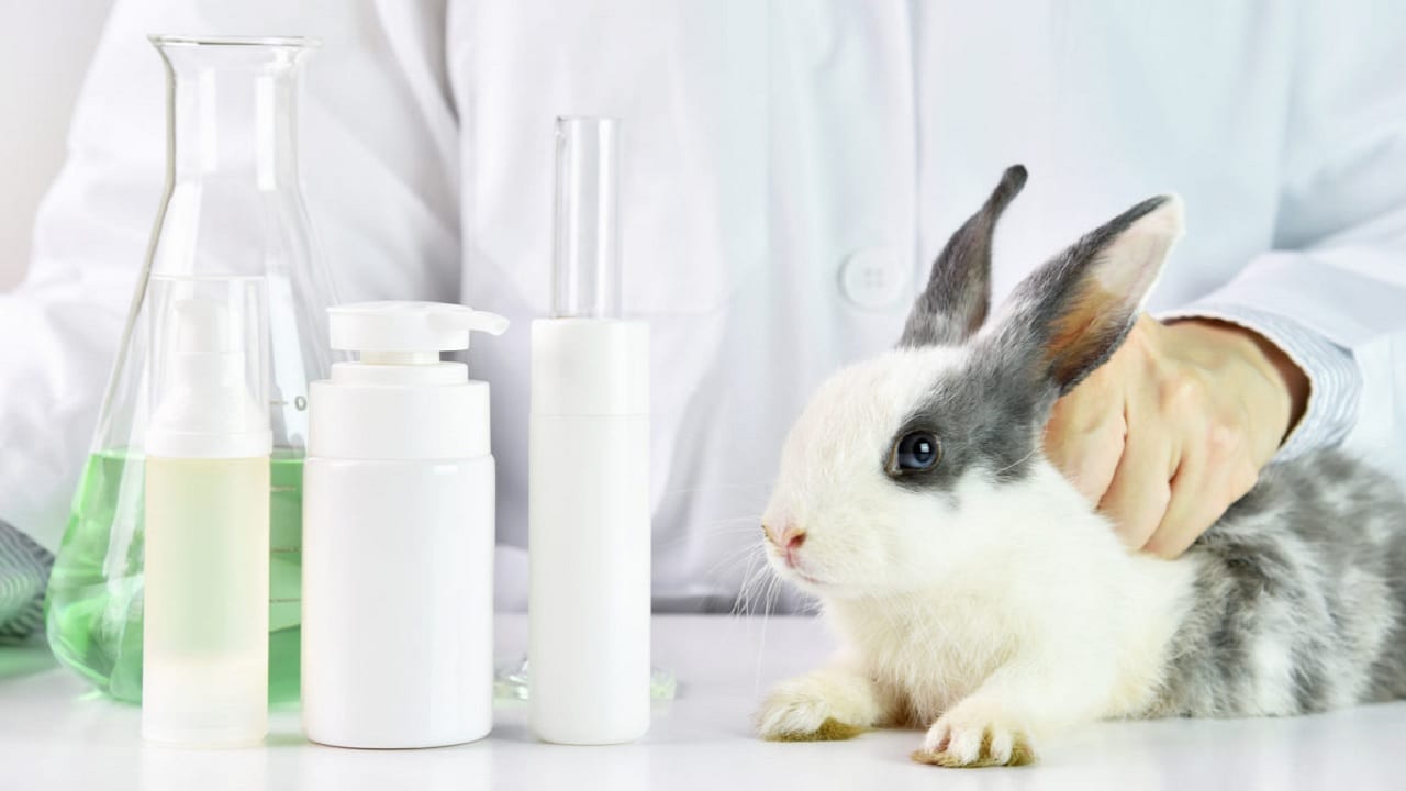 https://forbes.co/2020/06/12/actualidad/colombia-prohibe-las-pruebas-de-maquillajes-en-animales/