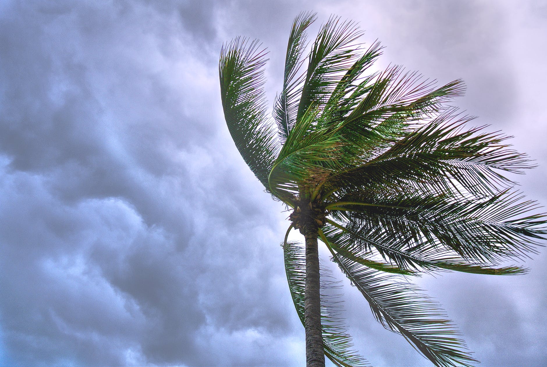 https://www.forbes.com.mx/noticias-dos-tormentas-se-dirigen-simultaneamente-a-costas-del-golfo-de-mexico-en-un-inusual-fenomeno-meteorologico/