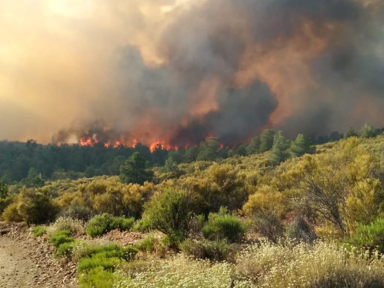 El incendio en la Reserva de la Biosfera Sian Ka’an, se encuentra controlado en un 30%