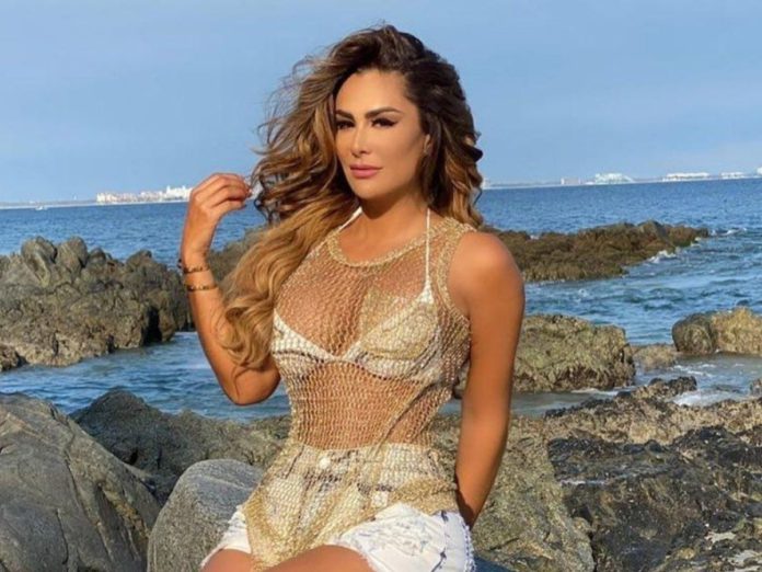 ninel-conde-libro https://www.debate.com.mx/show/Se-filtra-el-vestido-de-novia-que-Ninel-Conde-supuestamente-usaria-en-su-boda--20201028-0322.html