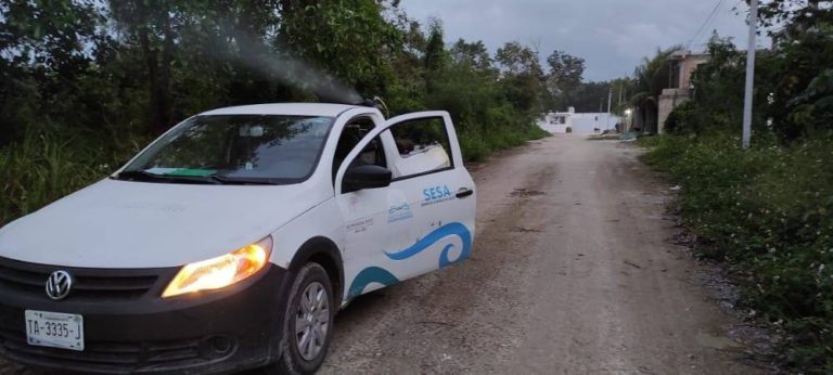 Refuerzan labores de fumigación en Isla Mujeres