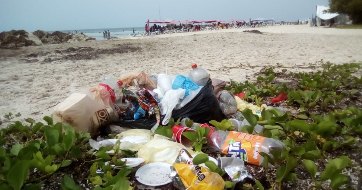 Dejan bañistas 4 mil 830 kilos de basura tras visitar las playas de