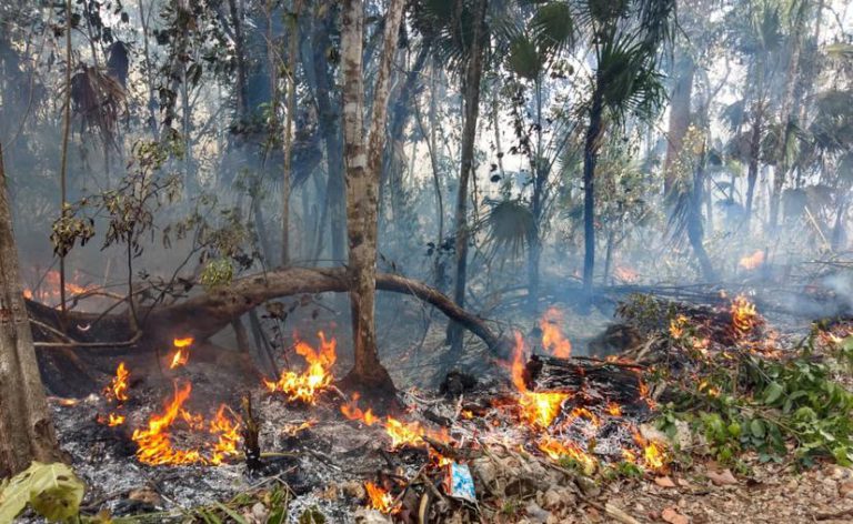 Se han detectado 140 amenazas de incendios en Q. Roo: Conafor