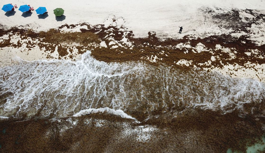 CANCÚN, QUINTANA ROO, 23JUNIO2021.- Miles de toneladas del alga llegan a los centros turísticos en la víspera del verano, en la imagen Playa Coral y Playa Ballenas Fe. 
FOTO: ELIZABETH RUIZ/CUARTOSCURO.COM