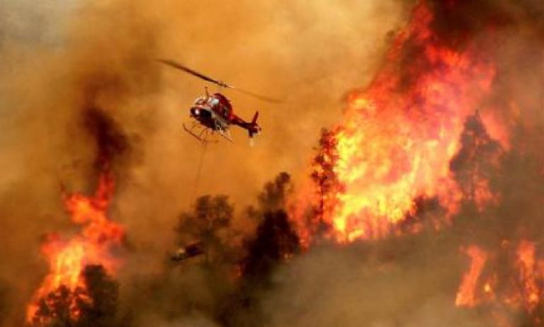 Cerdeña, isla italiana, arde como una antorcha: 1500 personas evacuadas y miles de animales muertos