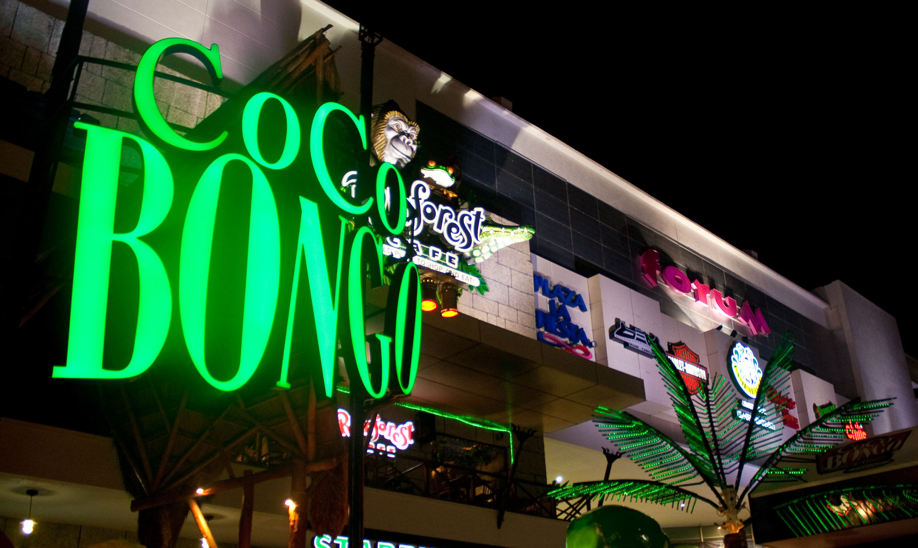 Coco bongo thong