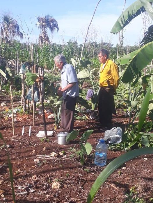 Comunidades mayas de Lázaro Cárdenas piden por buenas cosechas con el rito de “primicia”