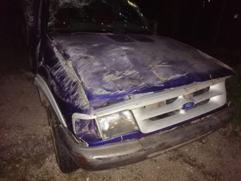 Bache provoca accidente en la carretera al Naranjal en José María Morelos