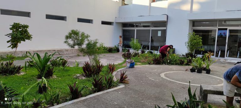 Ciudadanos remodelan área verde del Hospital de Playa del Carmen