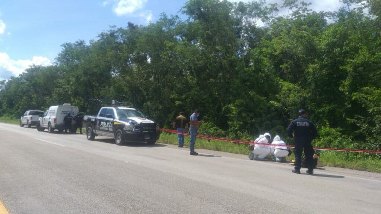 Encuentran cadáver en descomposición cerca de la carretera Cancún-Leona Vicario