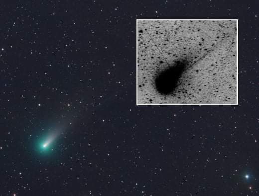 Cometa Leonard: el más brillante que rondará a la Tierra en 2021 y podrá ser visto