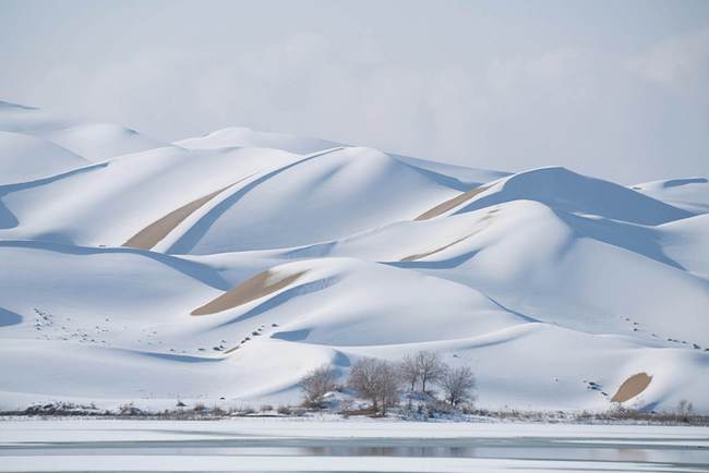 desierto-cubierto-de-nieve