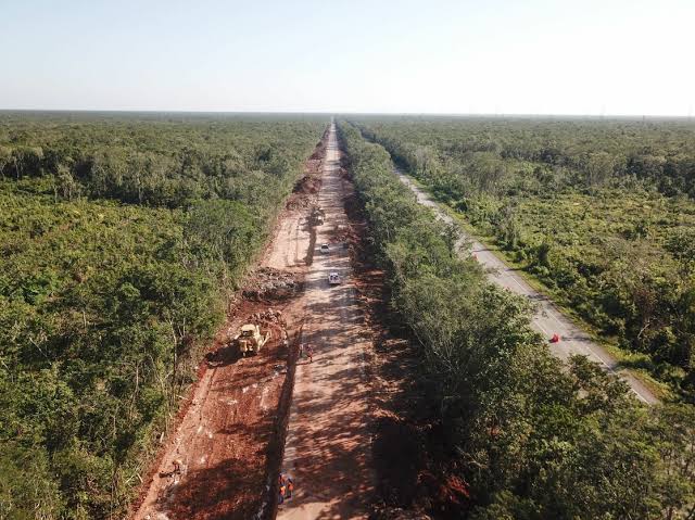 FONATUR desmiente tala de 20 mil árboles en Playa del Carmen
