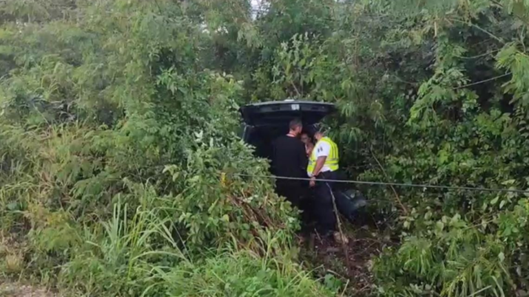 Tras-accidente-vehicular,-auto-termina-entre-la-maleza-en-Puerto-Aventuras