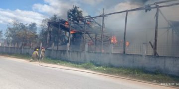 Foto:QuintaFuerza