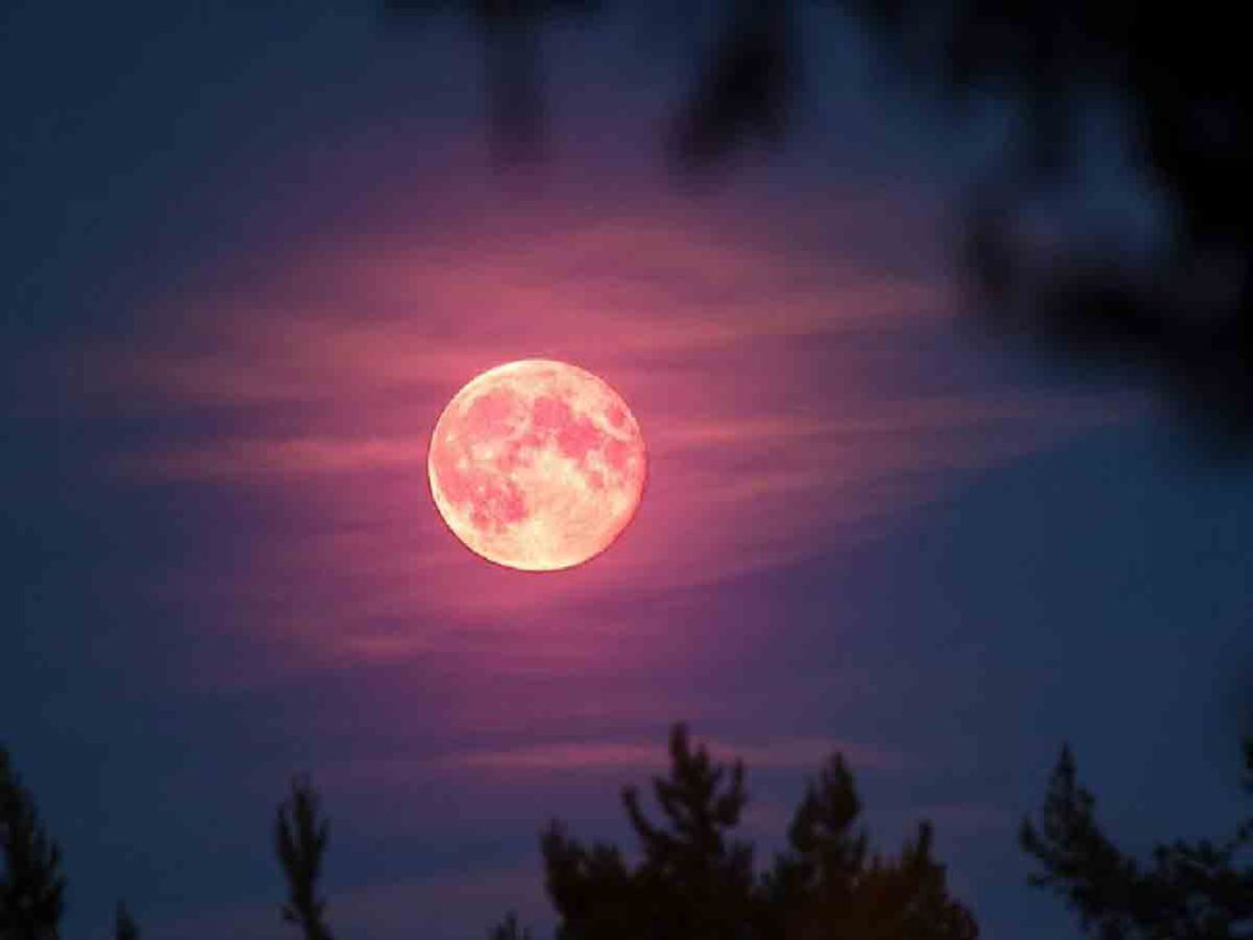 https://www.excelsior.com.mx/trending/te-decimos-cuando-y-como-ver-la-luna-rosa-de-abril/1507980