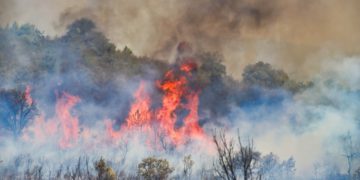 Incendio en la zona de Tabara