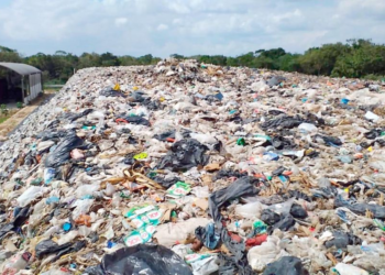 Cuatro municipios de Quintana Roo presentan problemas por el manejo de sus residuos solidos