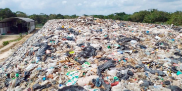 Cuatro municipios de Quintana Roo presentan problemas por el manejo de sus residuos solidos
