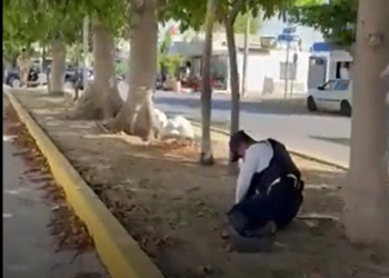 VIDEO: Detienen a extranjero que caminaba desnudo y agredió a un policía en Playa del Carmen
