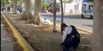 VIDEO: Detienen a extranjero que caminaba desnudo y agredió a un policía en Playa del Carmen