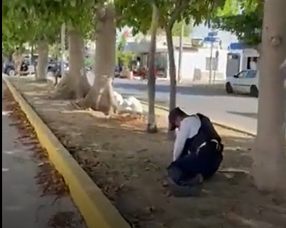 VIDEO: Detienen a extranjero que caminaba desnudo y agredió a un policía en Playa del Carmen