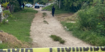 Encuentran dos ejecutados con el tiro de gracia en la SM 245 de Cancún