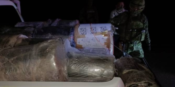 Aseguran una camioneta de la Sesa con 200 kilos de marihuana al sur de Quintana Roo