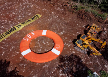 Denuncia Greenpeace la reanudación ilegal de las obras del Tren Maya en Q. Roo