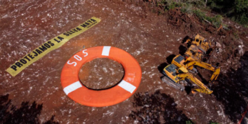 Denuncia Greenpeace la reanudación ilegal de las obras del Tren Maya en Q. Roo