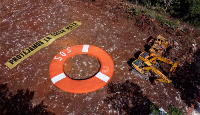 Denuncia Greenpeace la reanudación ilegal de las obras del Tren Maya en Q. Roo