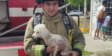 Bomberos rescatan a un perro de incendio en Playa del Carmen