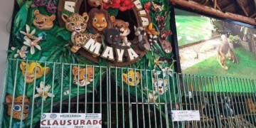 Fiscalía permite que saquen ejemplares de “Animalandia” en Playa del Carmen