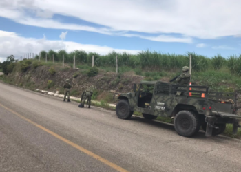 Elementos del Ejército Mexicano decomisan 200 dosis de droga al sur de Quintana Roo