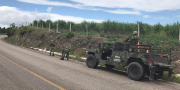 Elementos del Ejército Mexicano decomisan 200 dosis de droga al sur de Quintana Roo