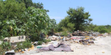 Convierten en un tiradero clandestino el camellón central de la Región 237 de Cancún