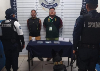 Detienen a dos sujetos en posesión de varias dosis de droga con la ayuda de la unidad Canina en Playa del Carmen