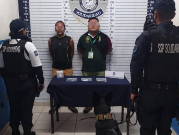 Detienen a dos sujetos en posesión de varias dosis de droga con la ayuda de la unidad Canina en Playa del Carmen