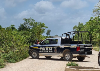 Encuentran un ejecutado con el tiro de gracia en la Región 260 de Cancún