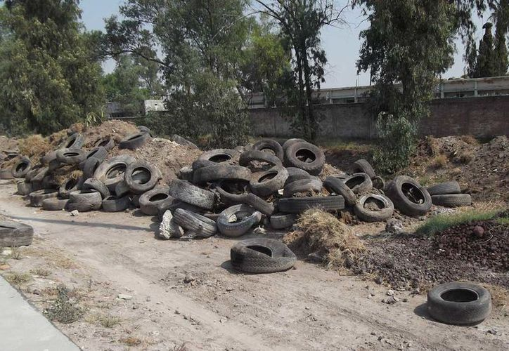 Proliferación de neumáticos en Chetumal se empieza a convertir en un problema de salud pública