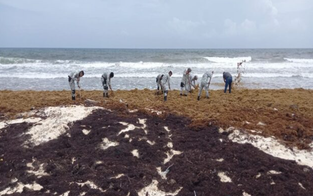 Nuevamente aseguran paquetes de droga en playa de Cozumel