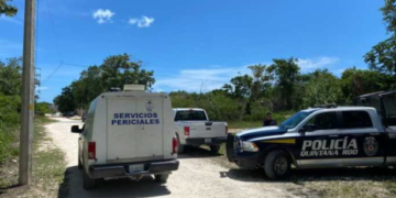Encuentran un ejecutado en la Zona Continental de Isla Mujeres