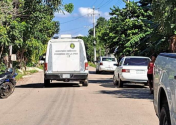 Encuentran el cuerpo sin vida de una persona desaparecida en el interior de un “Jardín de niños” en Felipe Carrillo Puerto
