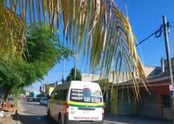 Abuelita muere tras ser atropellada por una combi del transporte público en Cancún