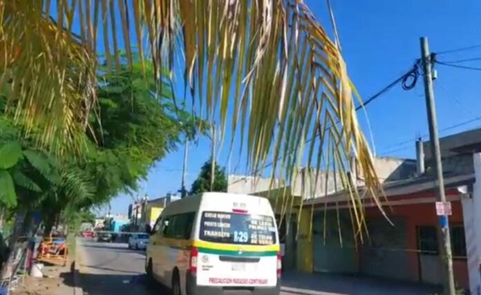 Abuelita muere tras ser atropellada por una combi del transporte público en Cancún