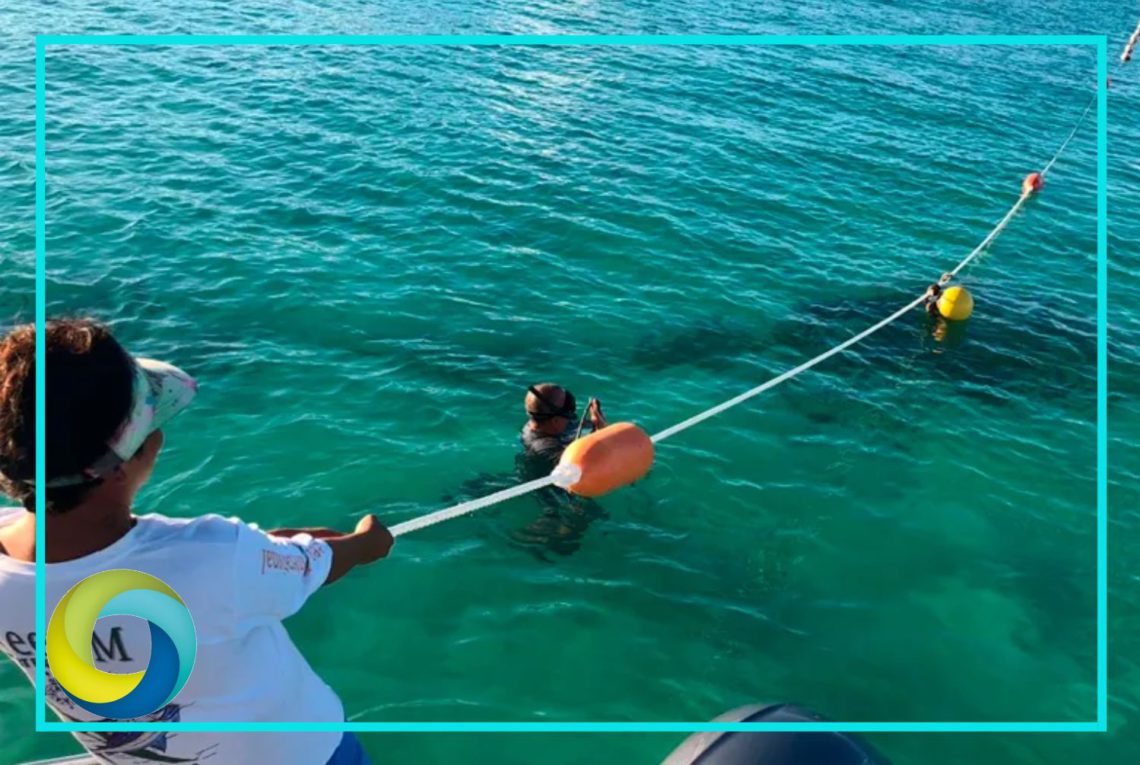 Refuerza el boyado desde playa Chimos hasta el hotel Mia en Isla Mujeres